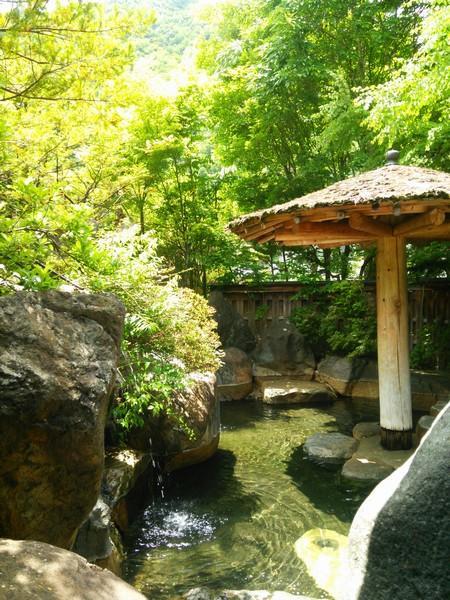 Nakadaya Hotel Takayama  Bagian luar foto